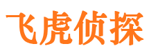 松江侦探公司